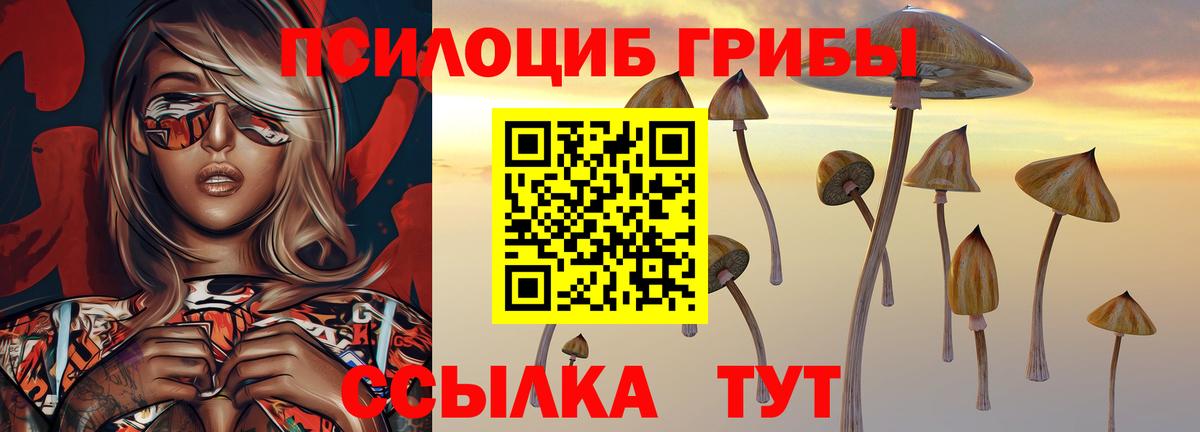 Псилоцибиновые грибы GOLDEN TEACHER  Вход с VPN  сколько стоит  Псилоцибиновые грибы мухоморы  Сухой Лог 